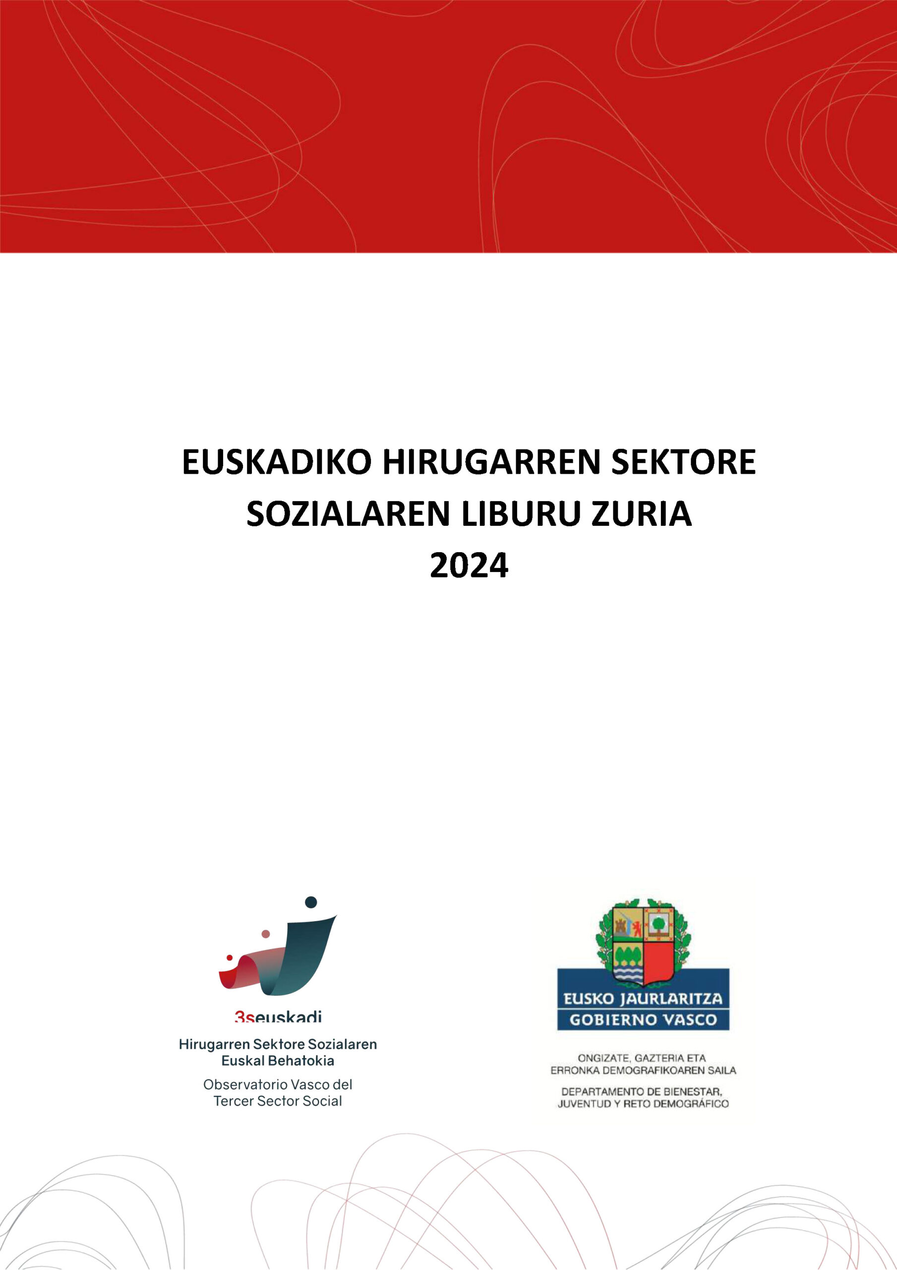 Euskadiko Hirugarren Gizarte-sektoreko Liburu Zuria (2024)